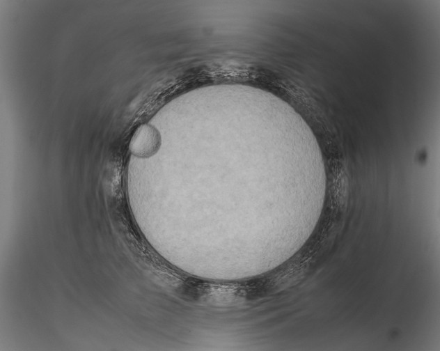 X0000115600709200912081113