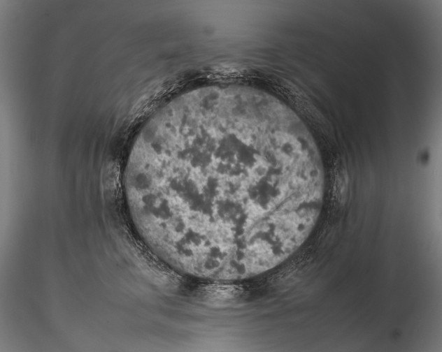 X0000115600711200912081113