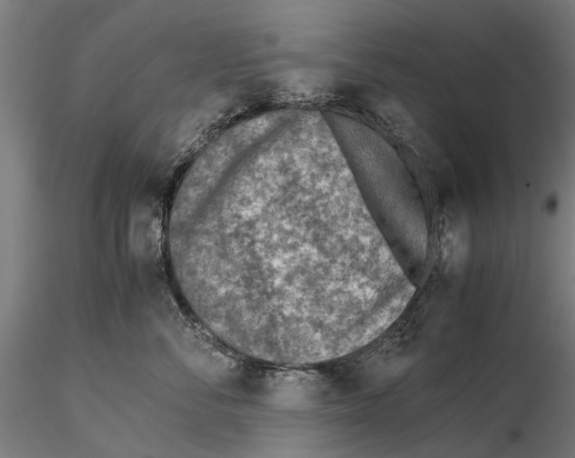 X0000115600716200912081113