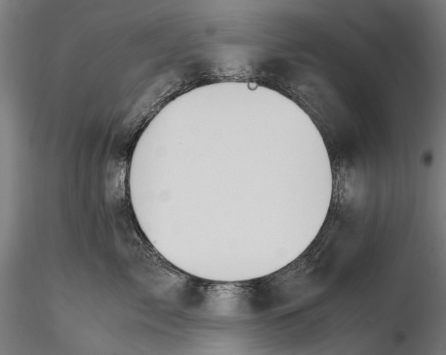 X0000115600717200912081113