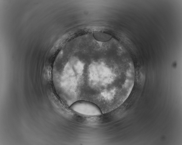 X0000115600718200912081113