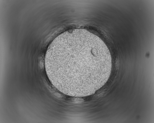 X0000115600719200912081113