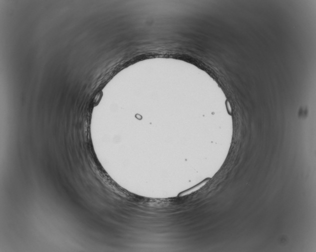 X0000115600720200912081113