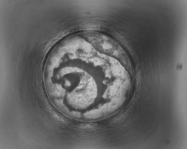 X0000115600721200912081113