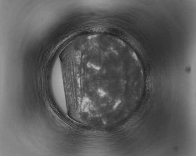 X0000115600722200912081113