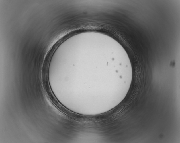 X0000115600726200912081113