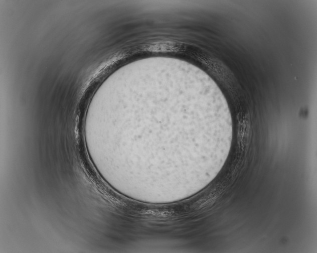 X0000115600727200912081113