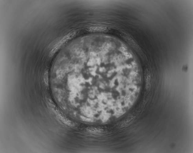 X0000115600729200912081113