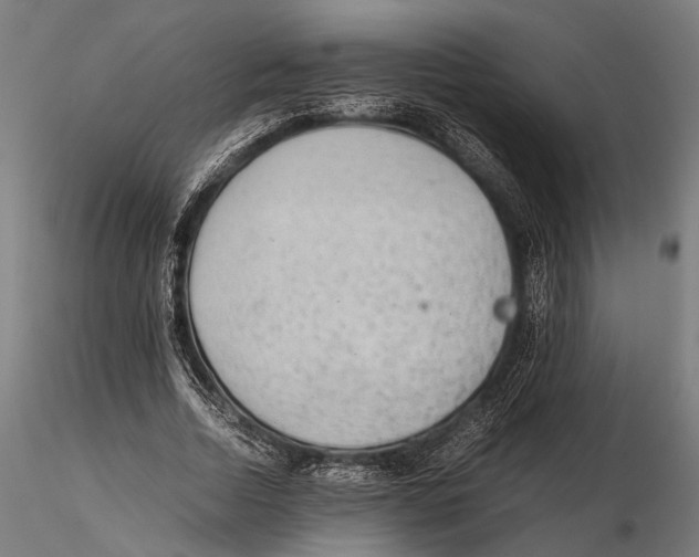 X0000115600730200912081113