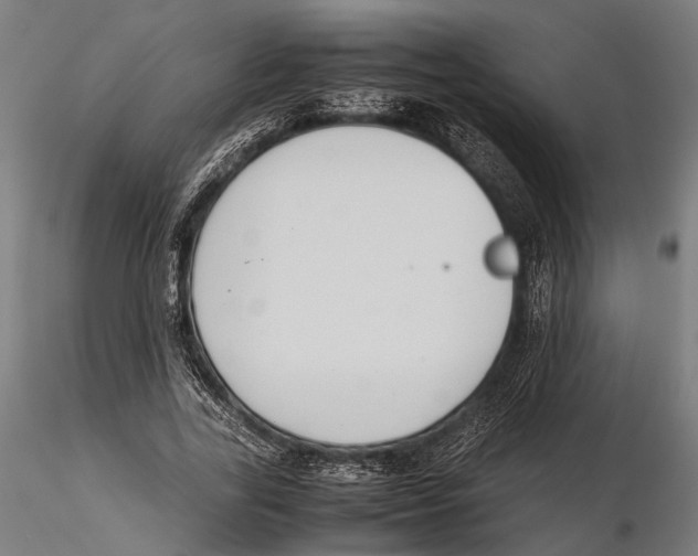 X0000115600731200912081113