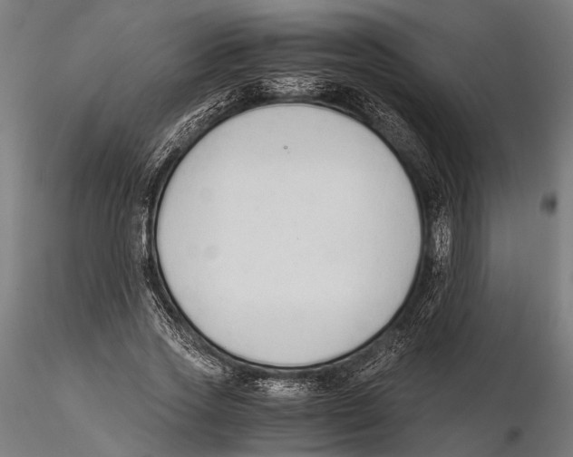 X0000115600733200912081113