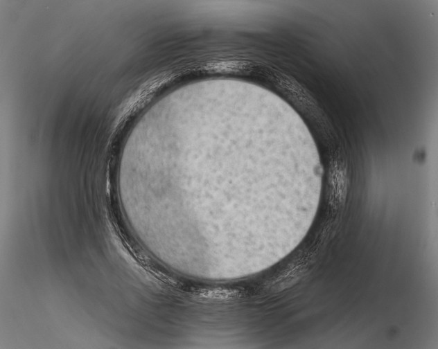 X0000115600734200912081113