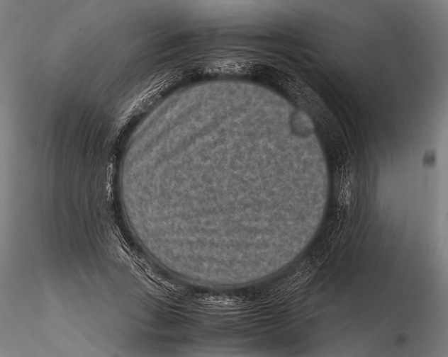 X0000115600735200912081113