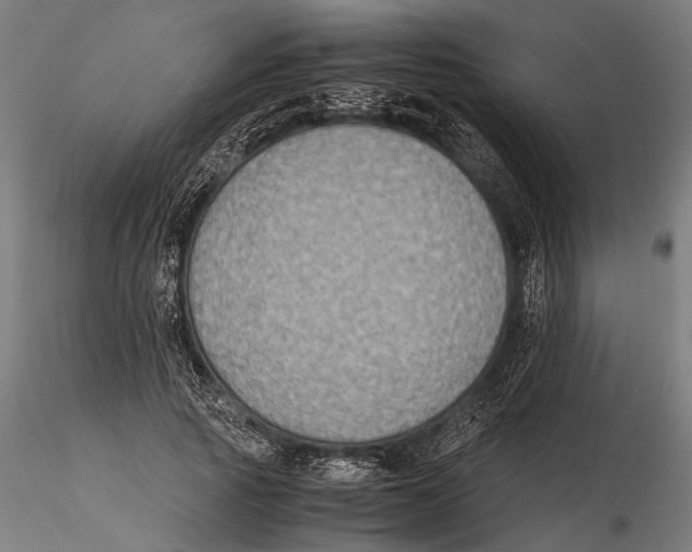 X0000115600737200912081113