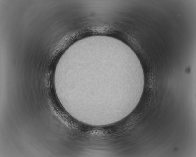 X0000115600738200912081113