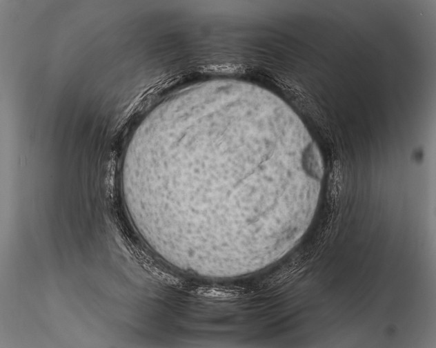 X0000115600739200912081113