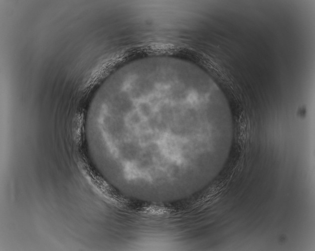 X0000115600742200912081113