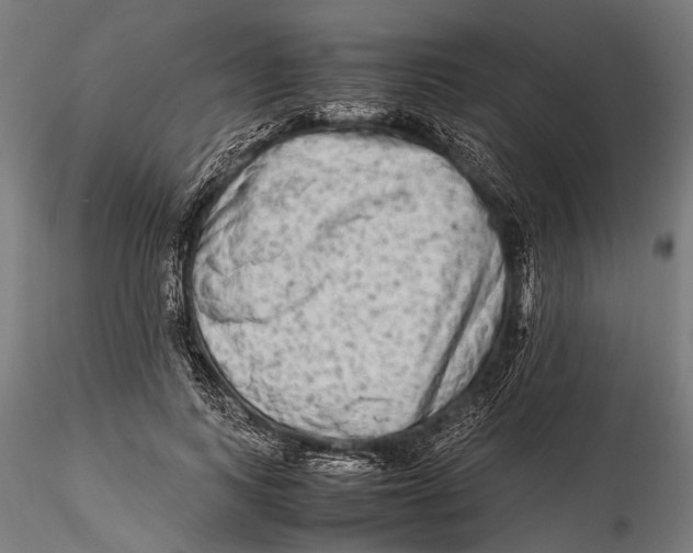 X0000115600743200912081113