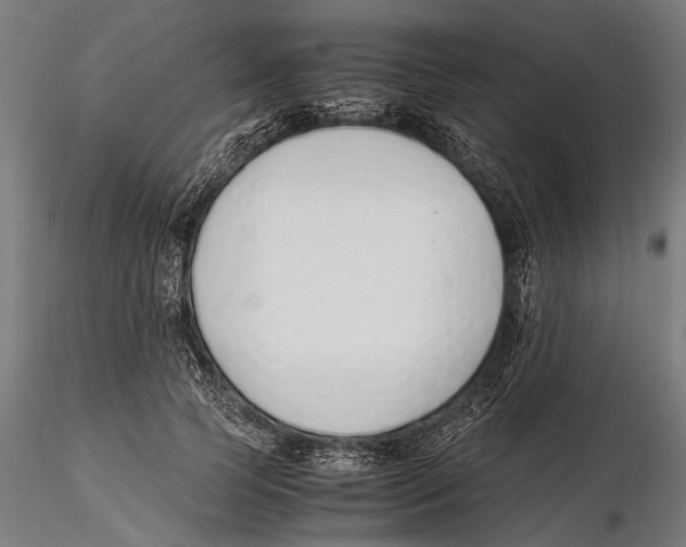 X0000115600745200912081113