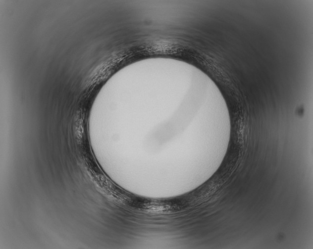 X0000115600746200912081113