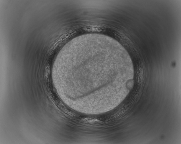 X0000115600747200912081113