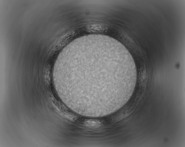 X0000115600749200912081113