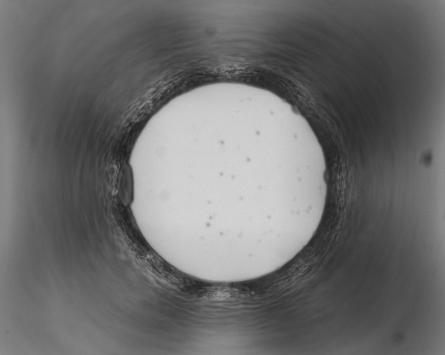 X0000115600750200912081113