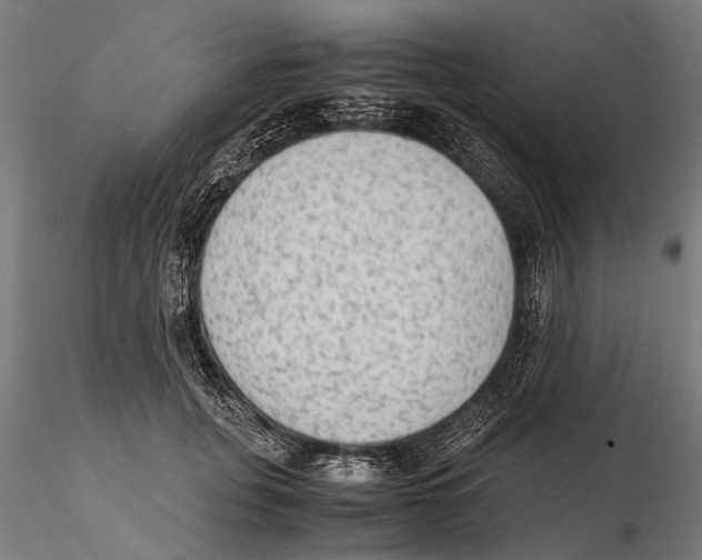 X0000115600751200912081113