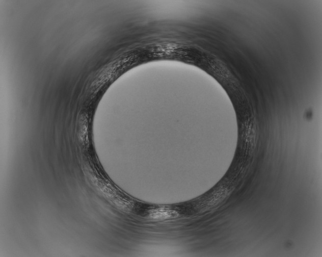 X0000115600754200912081113