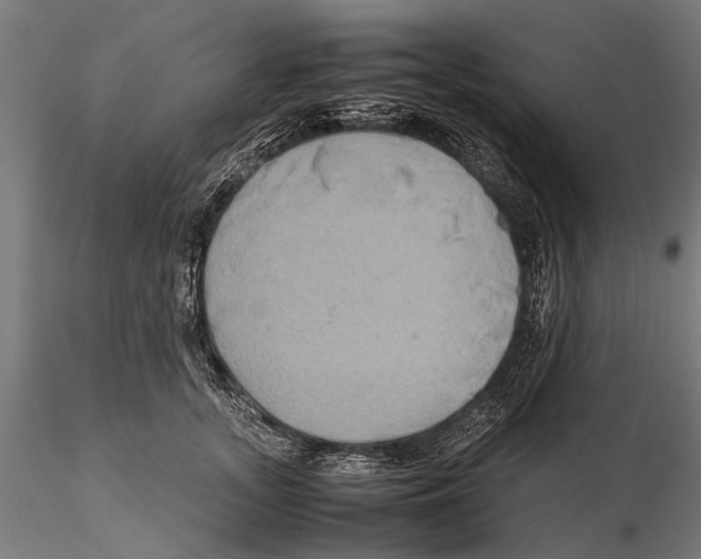 X0000115600755200912081113