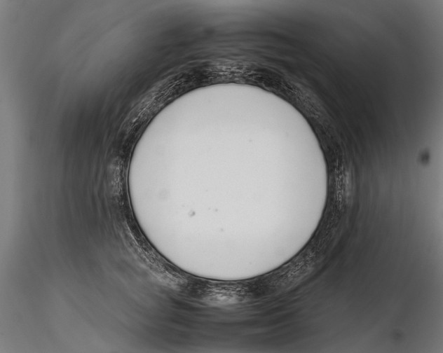 X0000115600757200912081113