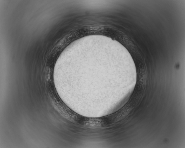 X0000115600758200912081113