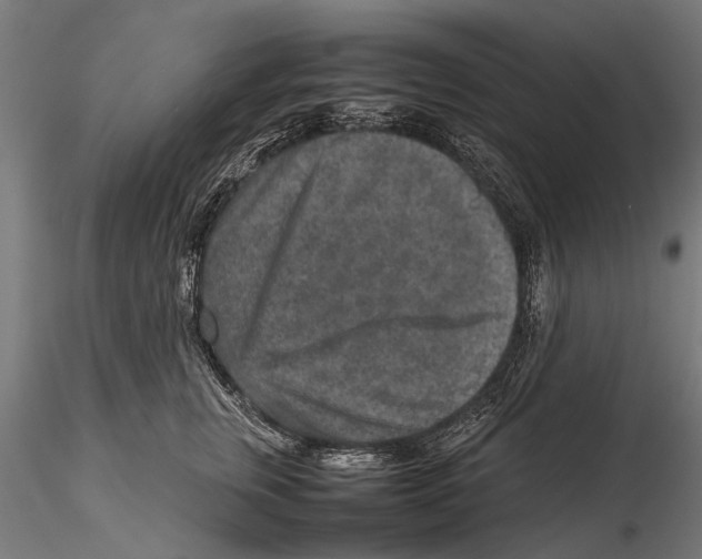 X0000115600759200912081113