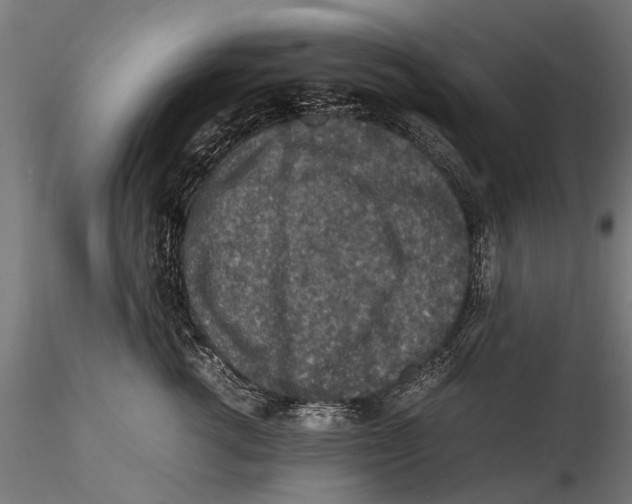 X0000115600762200912081113