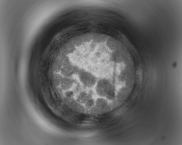 X0000115600765200912081113