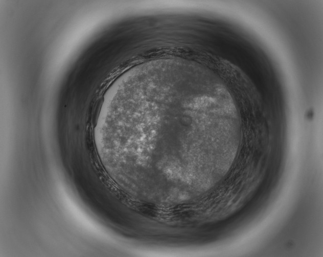 X0000115600766200912081113