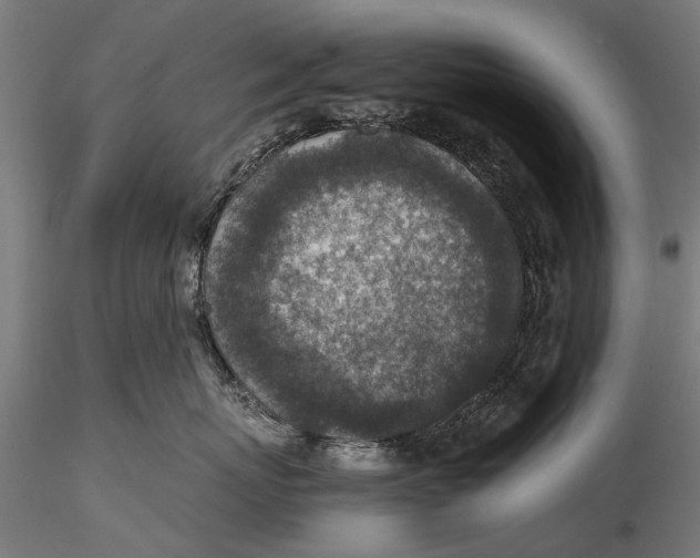 X0000115600767200912081113