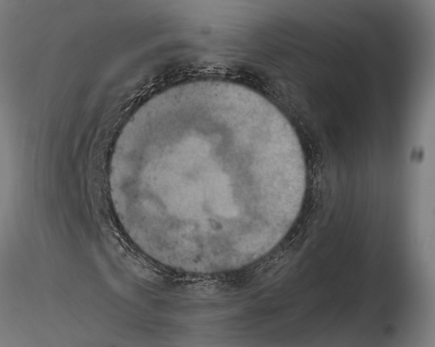 X0000115600769200912081112