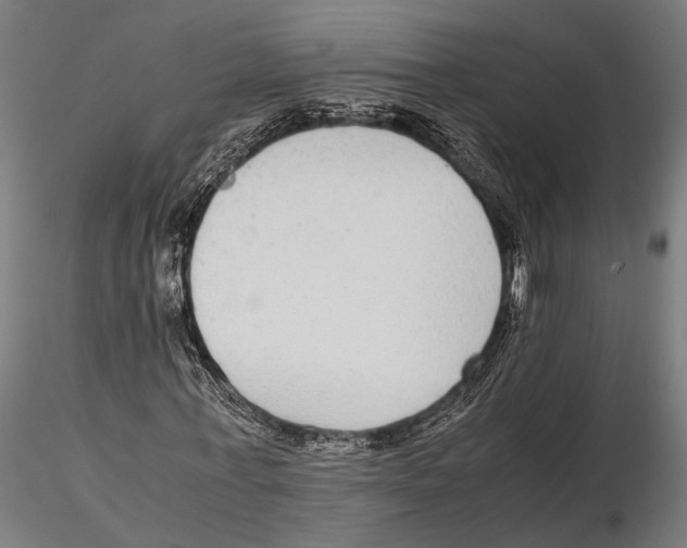 X0000115600771200912081112