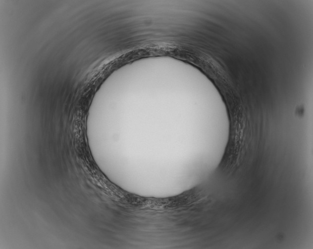 X0000115600773200912081112