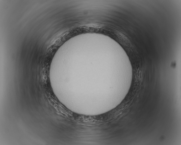 X0000115600774200912081112