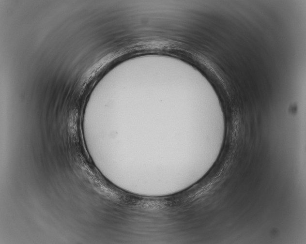 X0000115600778200912081112