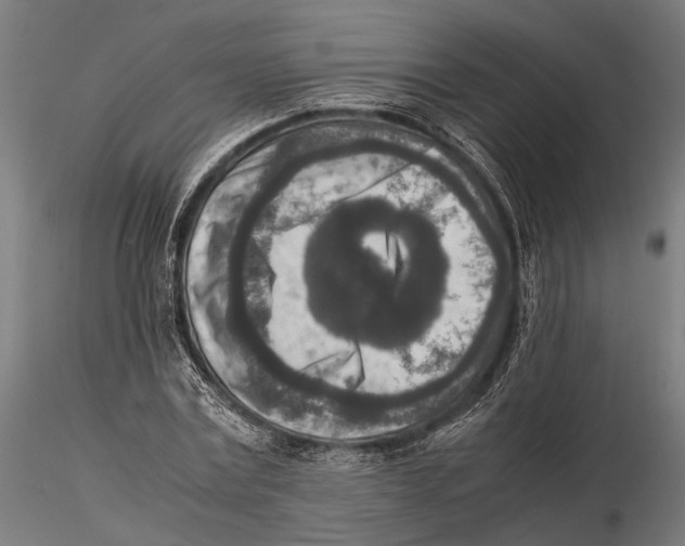 X0000115600779200912081112