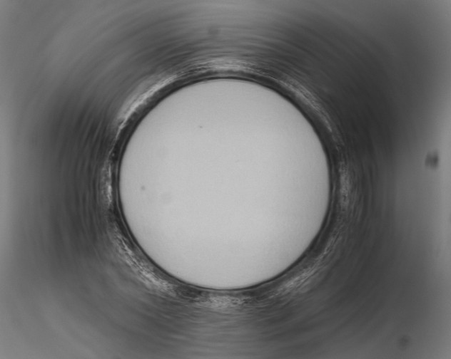 X0000115600782200912081112