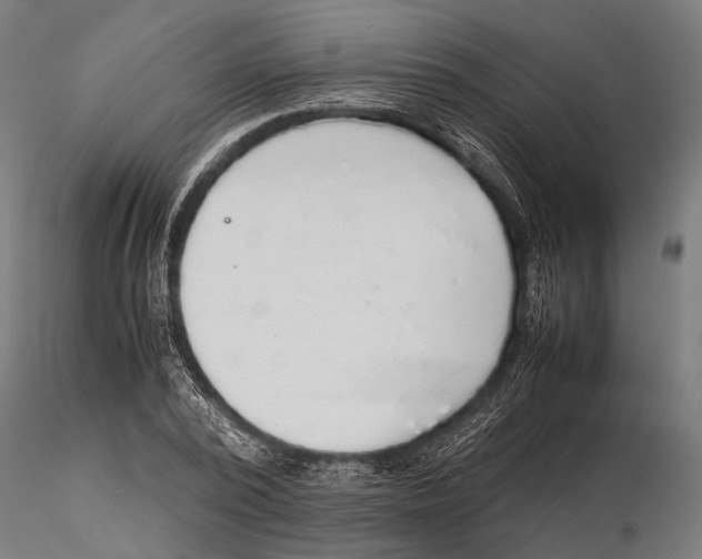 X0000115600784200912081112