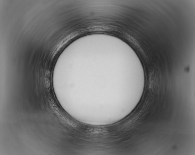 X0000115600786200912081112