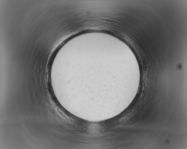 X0000115600787200912081112