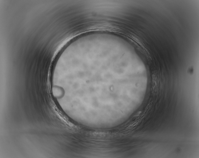 X0000115600788200912081112