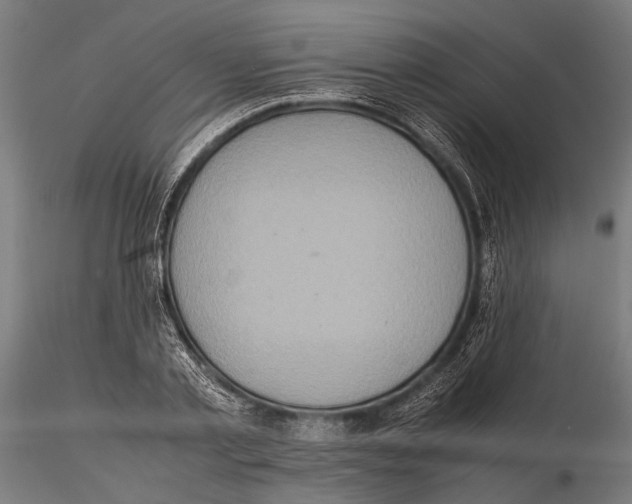 X0000115600789200912081112