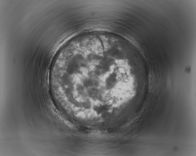 X0000115600790200912081112